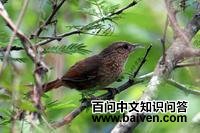 ����ؼ�ȸ��ͼƬ