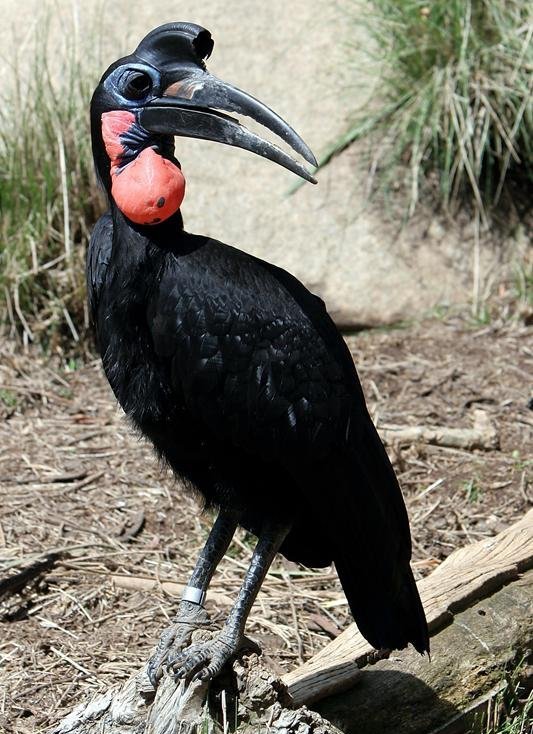 ��Ϭ���ͼƬ