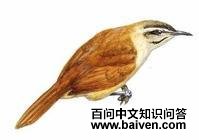 ��βέ����