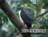 ���������\��ͼƬ