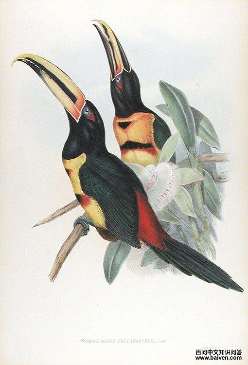 �������������ͼƬ