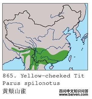 �Ƽ�ɽȸ�������ֲ�ͼ