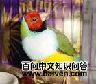 ���ʰҶȸ��ͼƬ