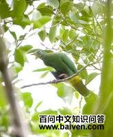 �츹���