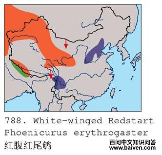 �츹��β�����ֲ�ͼ