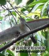 �춥ȸ