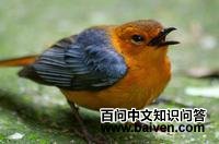 �춥���S