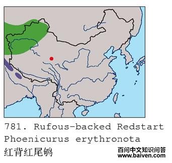 �챳��β�