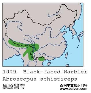 �����lݺ