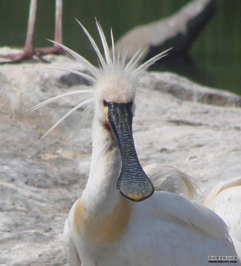 �����أ���˲���ɫ�������޺�ɫ