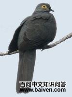 �ڽ���ͼƬ
