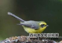 ��β�l��