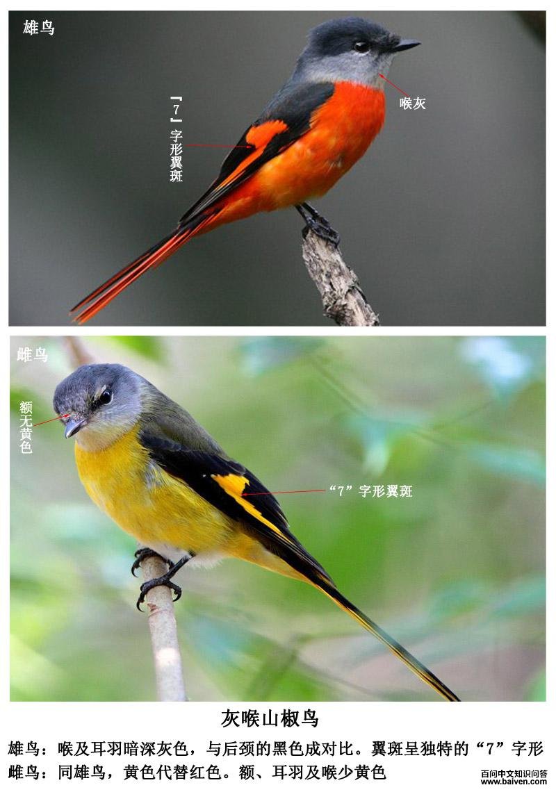 �Һ�ɽ����ı�ʶͼƬ