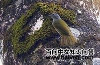 �������ǵ�ͼƬ