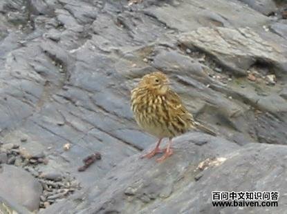 �ϼ��ҵ�ͼƬ