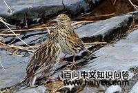 �ϼ���