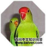 �ڳ�ĵ������