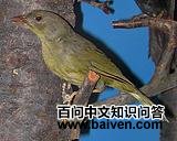 ����������ȸ��