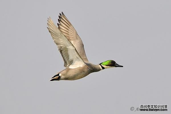 ����Ѽ���������ͼ