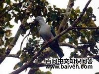 �һ��