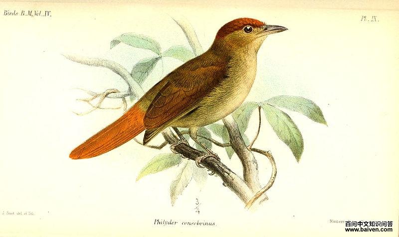 ����ʰҶȸ��ͼƬ