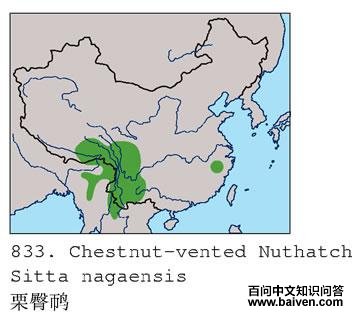 �����[�������ֲ�ͼ