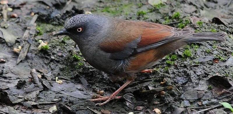 �������ҵ�ͼƬ