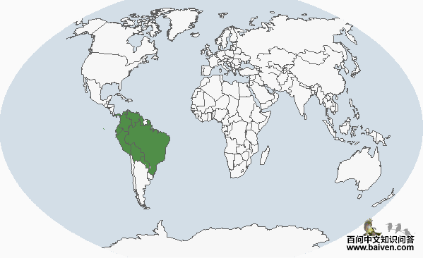 ����ڶ���