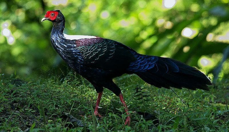 ���£�����