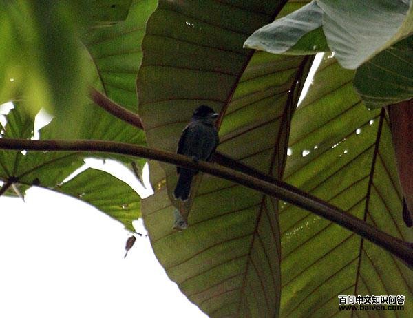 ���Һ�����l