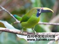 ���߾�����