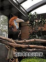 �ƿ���Ϭ��