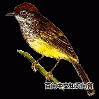�����lݺ
