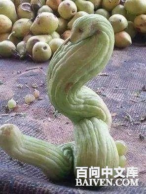 ���ʱ�Ц����Ц����ȫ