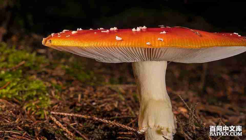 ���ʱ�Ц����Ц����ȫ