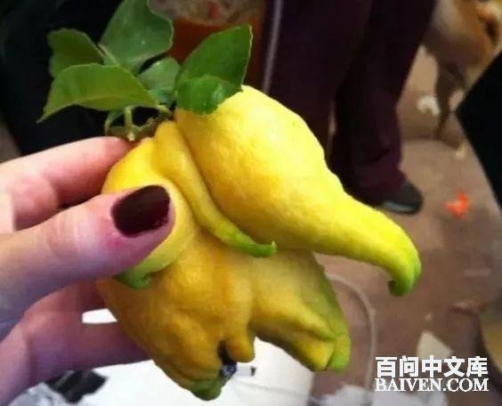 ���ʱ�Ц����Ц����ȫ