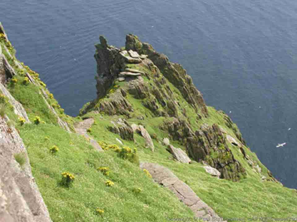 ��ʥ���ڷ����޵�Ժ�󣬽����ϡ�����ʯ��������ʯ��ʾ��