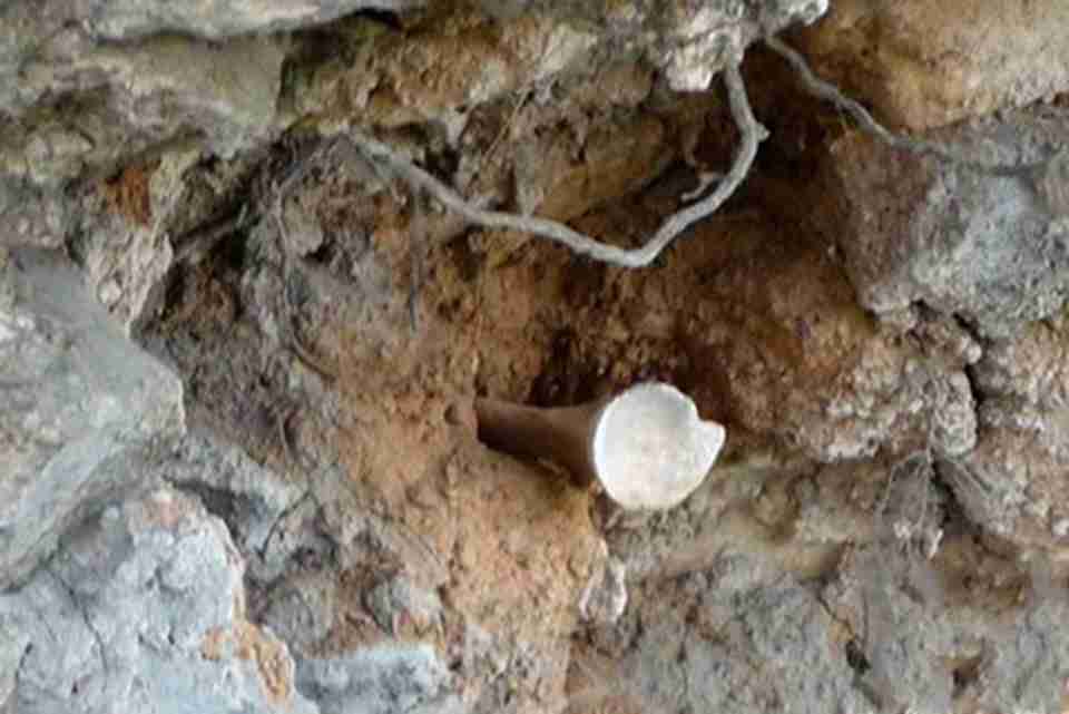 �������ˡ��Ĺ���