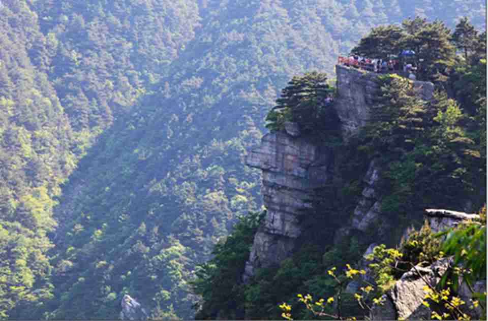 ®ɽ�����������ı���ʤ��