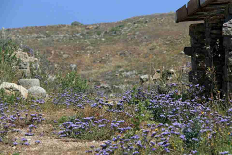 ���嵺�ǿ���ѧ�ҵ�����