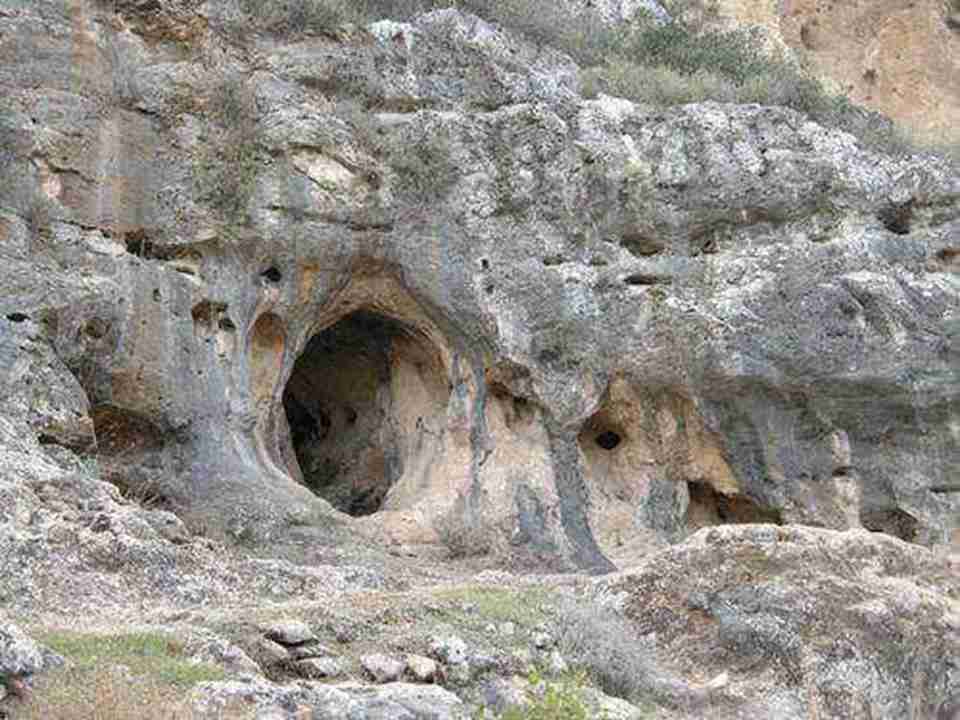 ����ɽ���������ַΪ�˽��������������������ṩ�˱��������