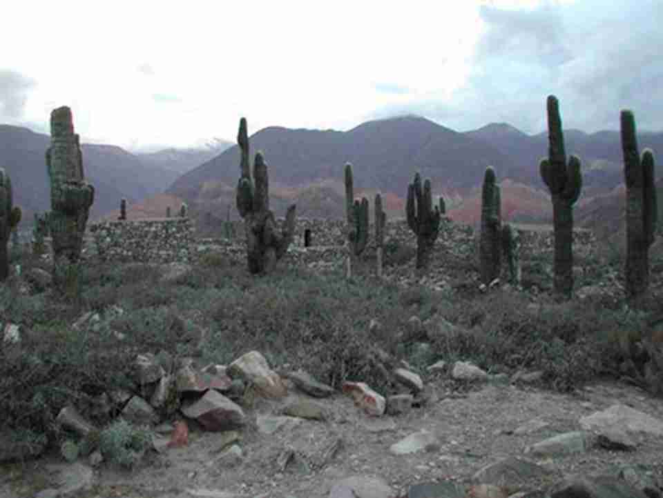 ��������&bull;�������߿��Ų�����һ����Ҫ���Ļ�·�ߡ�������ŵӡ�ӷֲ�