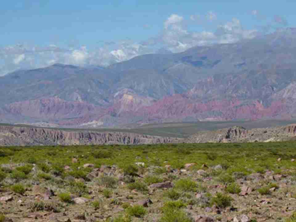 ��������&bull;�������߿�ɽ�ȳ�Լ155����ϱ�����