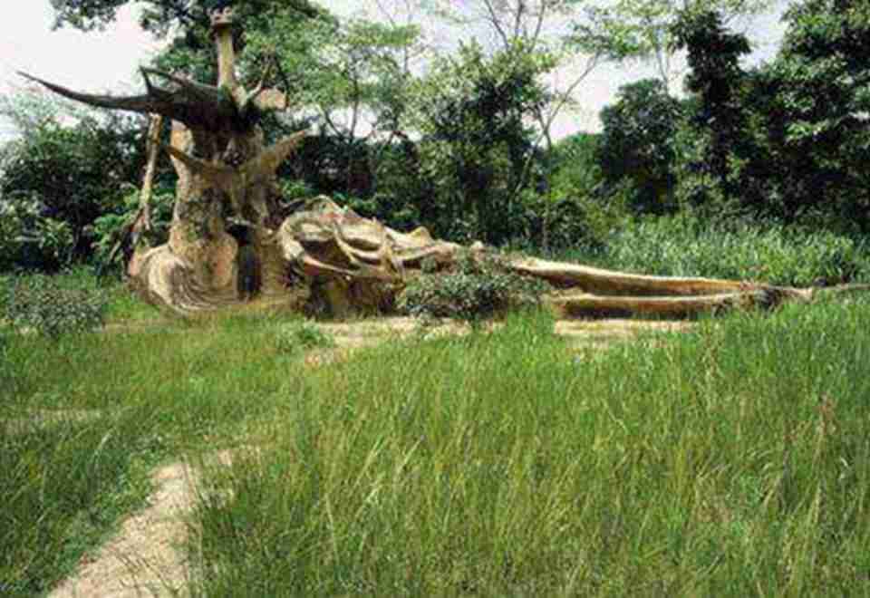 �����������ܼ����ֵ�λ�ڰ������н���