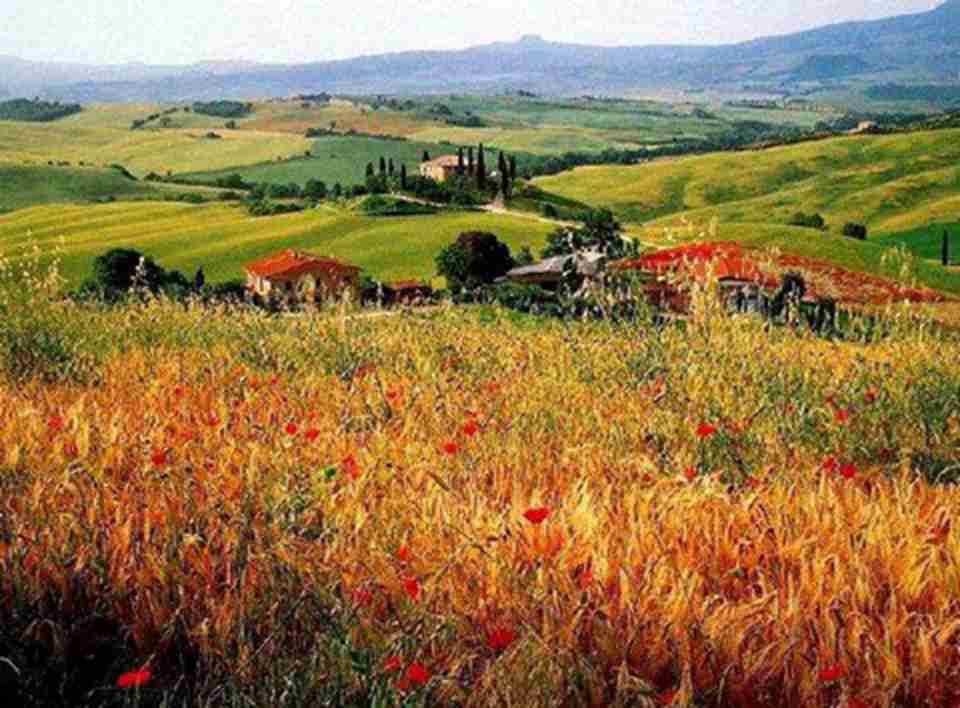 �߶��ϰ����ǵľ��¸���һ�����ڲ�ͬ������