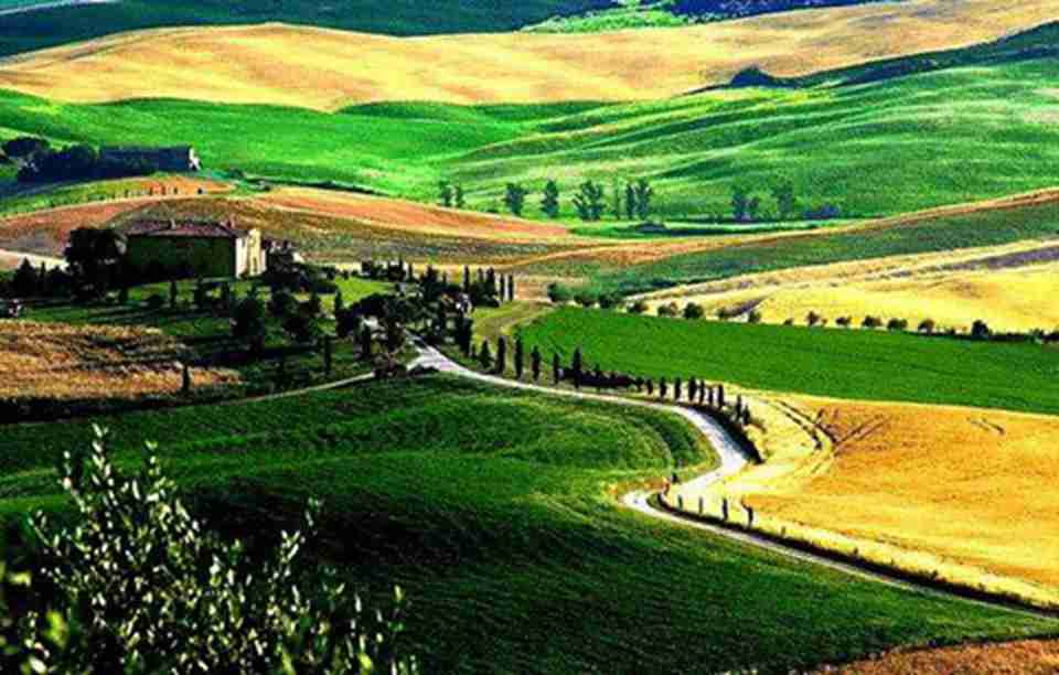 ɢ�������Ĵ���