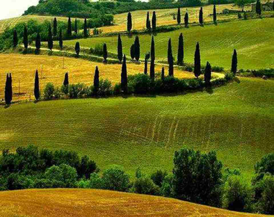 �߶��ϰ����ĵ��ζ������ѵĻ���Ϊ��