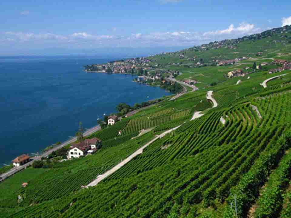 ����԰��ʯ��Χ��һ���С���ӣ�ԶԶ��ȥ���������ɽ�ϵ�һ���羰��