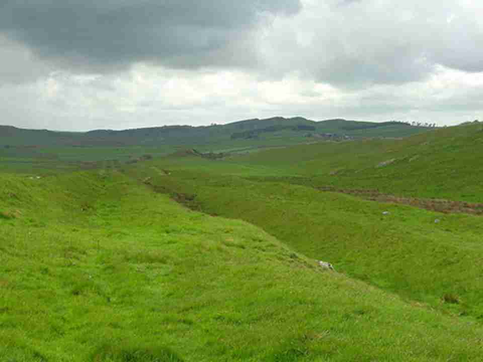 ���������Ǹ�����������ɫ