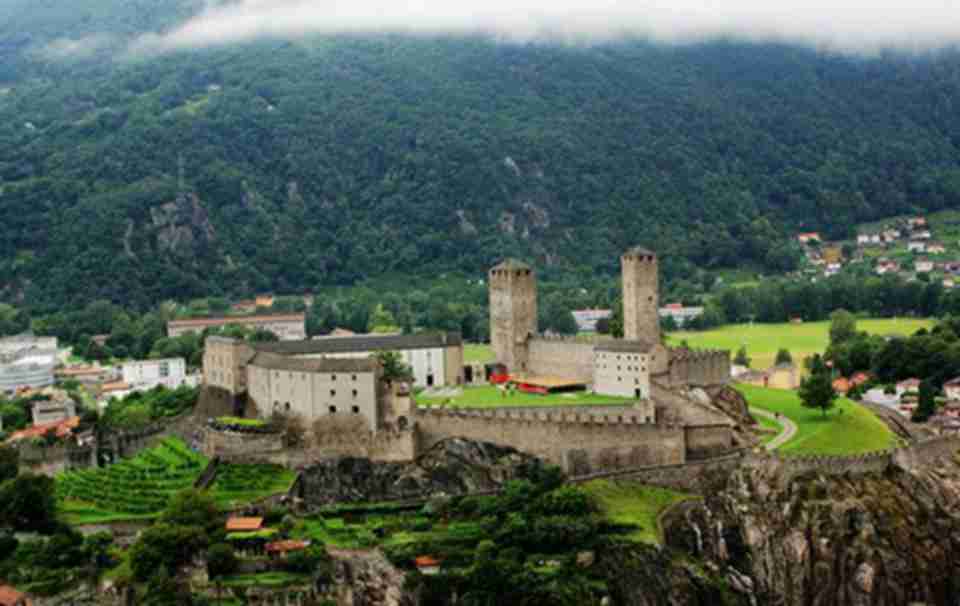 ����������ַ�ɱ���Ⱥ��ɵ�